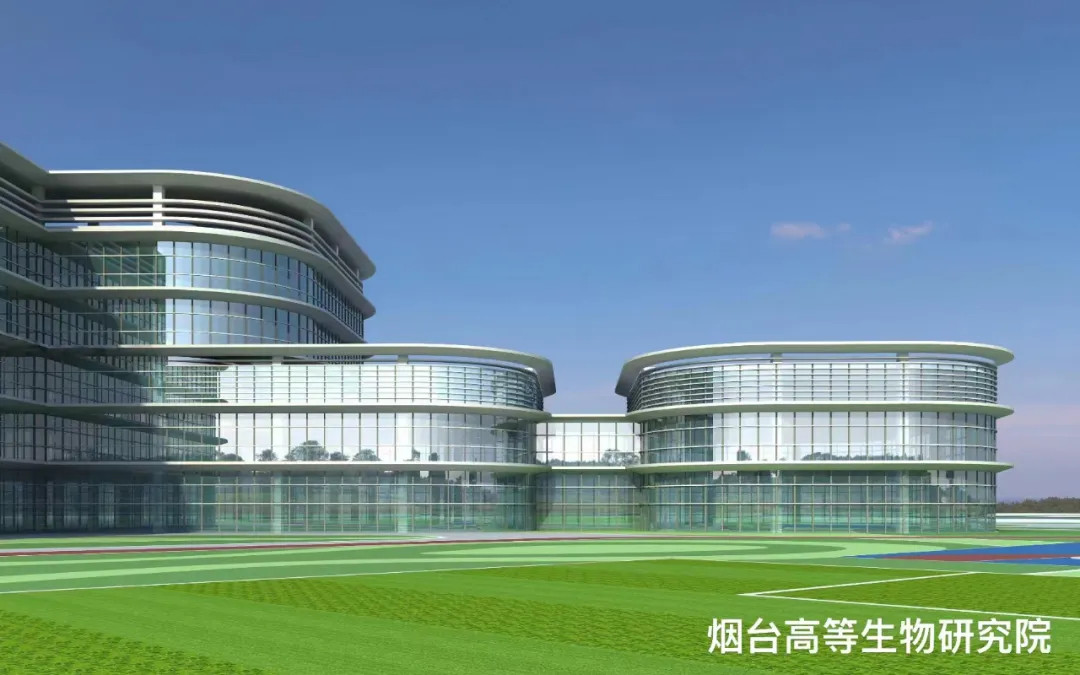大跨度 高精度 超節(jié)能|鳳鋁助力煙臺城市更新，展登州新貌